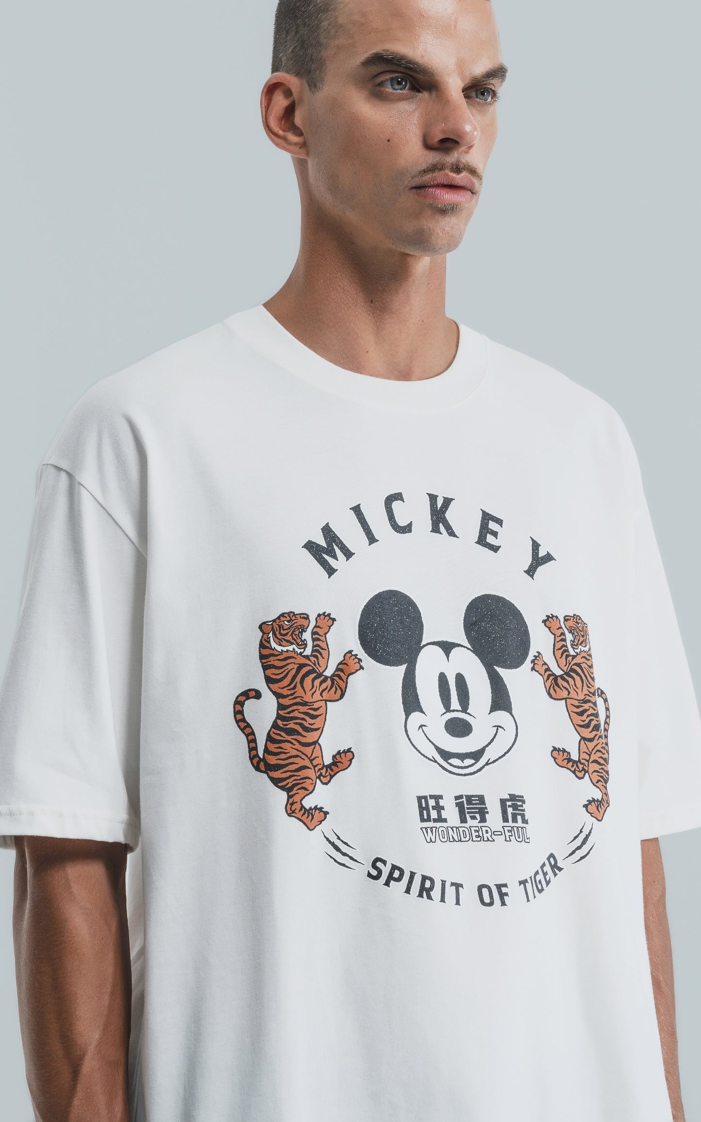 Remera Disney Spirit of Tiger [ Terra ]