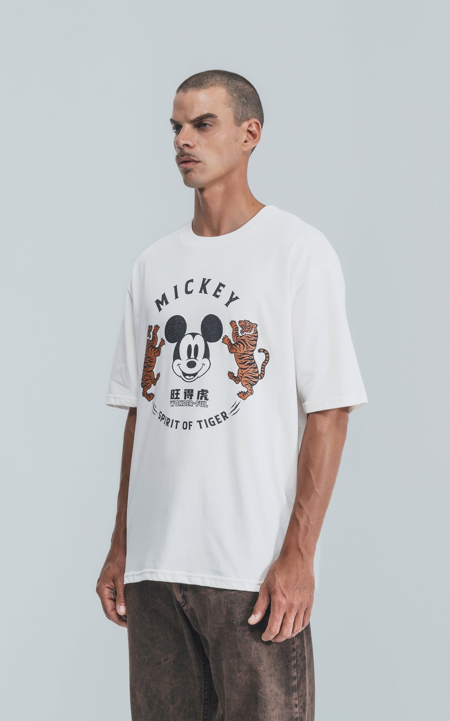 Remera Disney Spirit of Tiger [ Terra ]