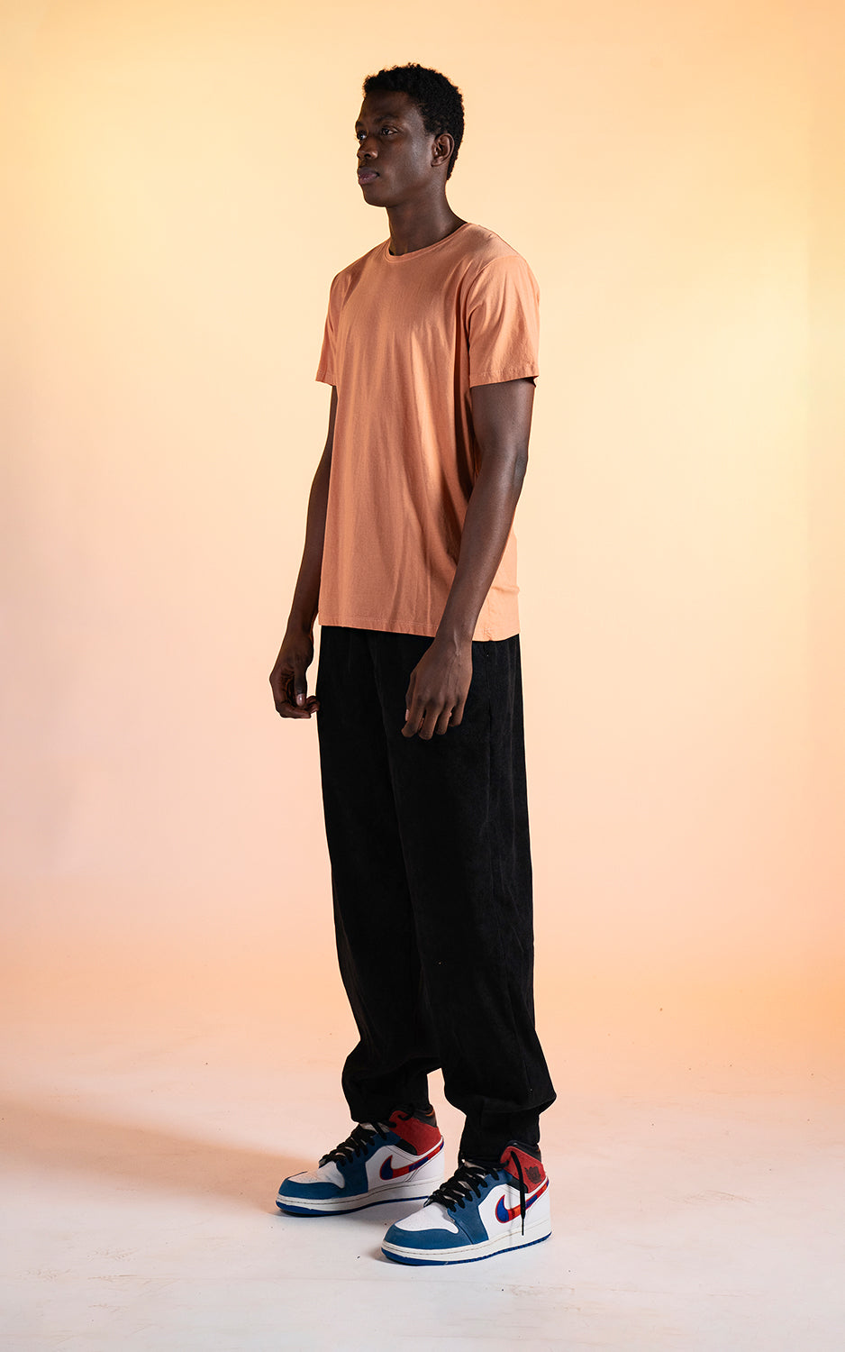 Remera Moore Basic [ Canela ]