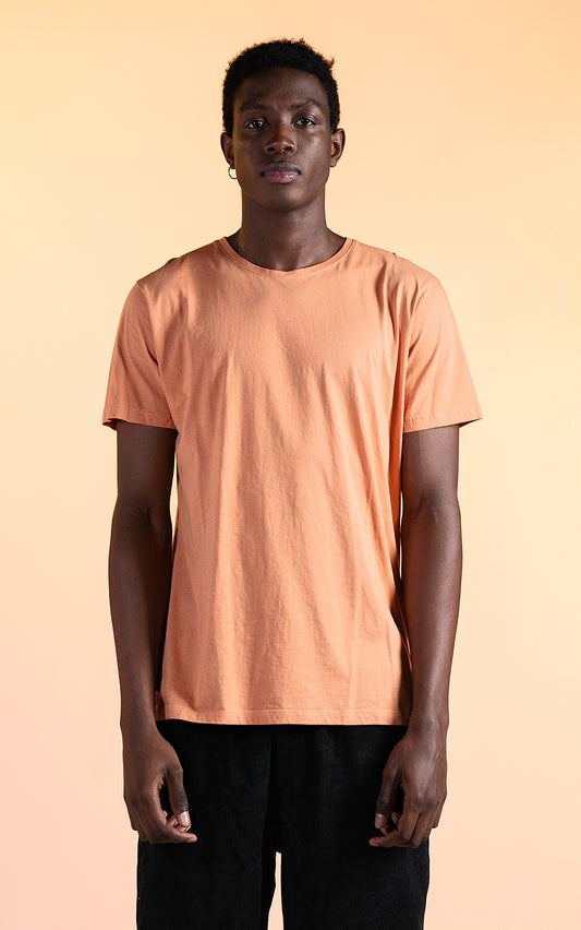REMERA MOORE BASIC [ CANELA ]
