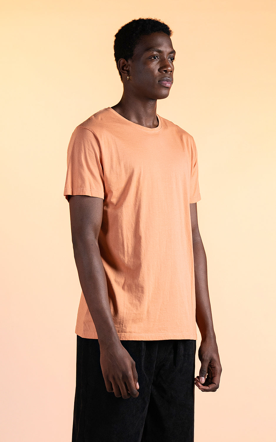 Remera Moore Basic [ Canela ]