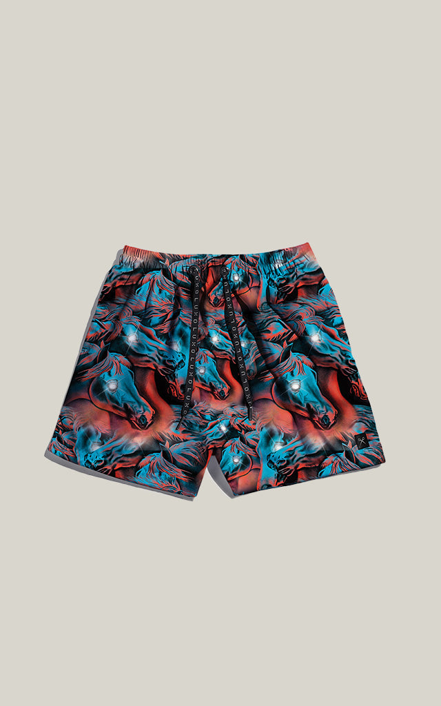 Short The Beach Master [ Toto 04 ]