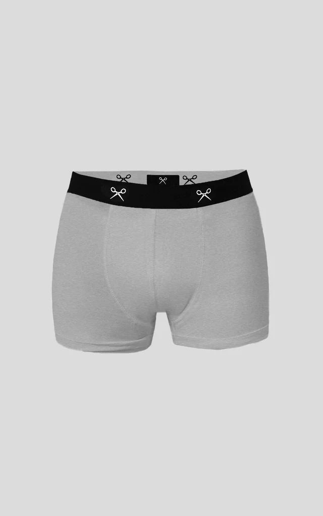 Boxer Bamboo Pack X2 [ Gris ]
