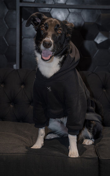 HOODIE AMISTAD [ NEGRO ]