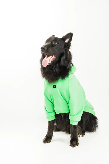 HOODIE AMISTAD [ VERDE ]