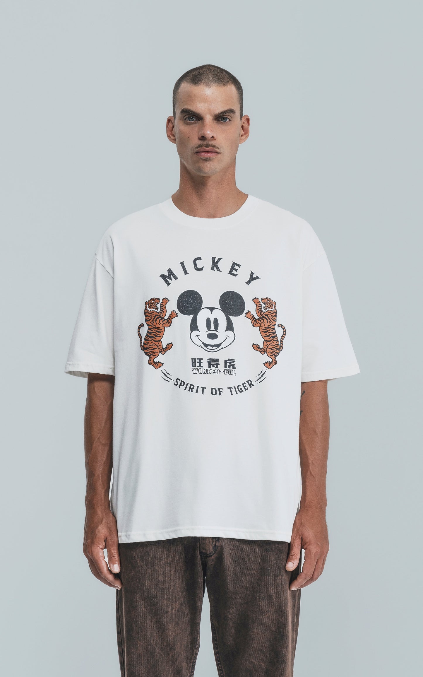 Remera Disney Spirit of Tiger [ Terra ]